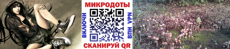 МЕГА как войти Мариинский Посад Галлюциногенные грибы мицелий как найти